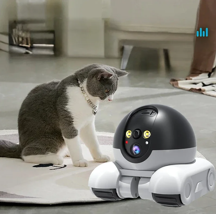 Cat interacting with a pet monitoring movable camera.